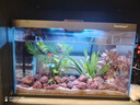 大禹德邦魚(yú)缸水族箱客廳家用辦公室造景玻璃小魚(yú)缸小型生態(tài)桌面迷你魚(yú)缸   北歐風(fēng)生態(tài)小魚(yú)缸豪華套裝 曬單實(shí)拍圖