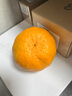 鑫果滋【順豐】福建永春蘆柑 福建特產(chǎn)甜蘆柑椪碰柑新鮮水果送禮柑桔橘 凈9斤 中果 約70mm 【順豐】 永春蘆柑 曬單實(shí)拍圖