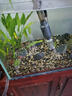 CRAZY PLANT魚(yú)缸換水神器鋰電自動(dòng)電動(dòng)洗沙器吸便器清洗清潔吸魚(yú)屎神器抽水泵 【鋰電】800L/H可調節水流量 曬單實(shí)拍圖
