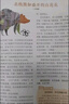 作文素材中考版雜志2025年1-8月新【另有全年/半年訂閱可選】課堂內(nèi)外初中學生創(chuàng)新作文素材初中版時文精粹非2024過刊 現(xiàn)貨【共8期7本】25年1-8月 送2個本 曬單實拍圖