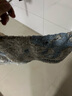 LOFTEX亞光純棉毛巾A類提花卡通兒童巾全棉柔軟吸水洗臉巾方巾 小熊部落 藍(lán)色 45g /34*35cm/條 曬單實(shí)拍圖