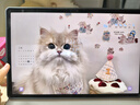 三星（SAMSUNG）平板電腦S10+/S10 Ultra 5G通話大屏120hz高刷游戲國行學(xué)生學(xué)習(xí)網(wǎng)課辦公護(hù)眼高清杜比全景聲商務(wù) 星耀銀 S10+【12GB+256GB】WIFI 曬單實(shí)拍圖
