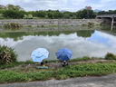 民間藝人 全遮光釣魚傘手杖式萬向黑膠防曬遮陽防雨釣傘2.2米 曬單實拍圖