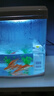 金利佳魚(yú)缸過(guò)濾器免換水內置三合一潛水泵循環(huán)抽水家用養魚(yú)凈水增氧設備 白色8W多功能（適用40cm內） 曬單實(shí)拍圖