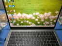 戴爾（DELL）畫(huà)圖設計工作i7辦公商務(wù)高清外星人筆記本電腦18英寸M17 戴爾14Pro-i7-16G-1TB 獨顯2G 標準套餐 曬單實(shí)拍圖