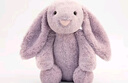 SMILE BELLA長(cháng)耳朵小兔子玩偶安撫娃娃公仔毛絨玩具睡覺(jué)抱枕兒童生日禮物女 小兔子-紫色 有花紋【禮盒裝】 站高25cm 曬單實(shí)拍圖
