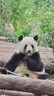 超級安踏ACE丨運(yùn)動(dòng)休閑鞋男鞋安踏夏季網(wǎng)球復(fù)古綿綿彈老爹鞋子112518803U 象牙白/新墨水藍(lán)-1 42 /(男8.5碼) 曬單實(shí)拍圖