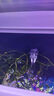 森森水妖精魚缸生化過濾器魚缸凈水器自帶氣泵水族凈水器魚缸過濾 JF-80 3w帶水泵 曬單實(shí)拍圖