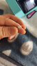 蒂瑞珂莫桑鉆一克拉戒指扭臂六爪銀飾求婚結(jié)婚訂婚戒指女七夕情人節(jié)禮物 扭臂六爪50分【配證書+禮盒】 活口可調(diào)節(jié) 曬單實拍圖