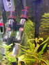 FISH BABY魚缸加熱棒加溫棒魚缸加溫器恒溫加熱器小型熱帶魚專用超短電熱棒 25W 加強高硼硅防爆/自動恒溫 曬單實拍圖