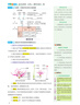 重難點(diǎn)手冊(cè) 高中生物學(xué) 必修2 遺傳與進(jìn)化 RJ 高二下 新教材人教版 2024版 王后雄 曬單實(shí)拍圖