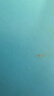零悉銅管件1620鋁塑管接頭三通直接彎通4分6分水管銅接頭管件接頭配件 1620x4分(內(nèi)絲直接) 曬單實(shí)拍圖