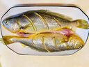 黃花魚 大黃魚 深海速凍國(guó)產(chǎn)東海大黃花魚 生鮮 魚類 海鮮 2條禮盒裝 1斤左右/條 曬單實(shí)拍圖