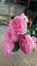 蘭憐手感保濕奧斯汀玫瑰花仿真花影樓婚紗攝影道具新娘手捧花粉色大束 亮粉色奧斯汀玫瑰【高品質(zhì)】 7支【可水洗】平均一枝4.25 曬單實(shí)拍圖