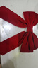 星恒夢(mèng)網(wǎng)紅大蝴蝶結發(fā)夾鴨嘴夾發(fā)夾啦啦隊皮筋頭花女頂夾后腦勺發(fā)卡頭飾 紅色蝴蝶結發(fā)夾【大號】 曬單實(shí)拍圖