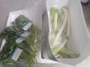 地之源有機蔬菜 應季新鮮蔬菜  農莊現摘現發(fā)有機認證 有機蔬菜盲盒凈重5斤 曬單實(shí)拍圖