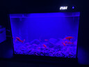 森森金麟超白智能魚(yú)缸小型桌面免換水生態(tài)魚(yú)缸一體缸自循環(huán) 【森森金麟】380 純黑尊享版標配 曬單實(shí)拍圖