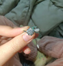 凱麗?！净☉佟颗嘤@石求婚鉆戒訂婚鉆石人工婚戒花苞款送閨蜜七夕禮物 18K金鑲蘊愛系列【D/VS2/3EX】 50分 曬單實拍圖
