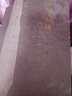 古琴新譜 曬單實(shí)拍圖