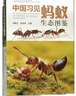 中國(guó)習(xí)見(jiàn)螞蟻生態(tài)圖鑒 曬單實(shí)拍圖