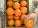 褚橙正品褚橙旗艦直發(fā)云南玉溪褚時(shí)健冰糖橙10斤水果禮盒裝勵志冰糖橙 XXL號珍品10斤（防偽碼可查） 曬單實(shí)拍圖