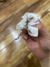 京厽魔術(shù)掃把刮水拖地兩用清理掃帚浴室衛(wèi)生間刮水器地刮速干掃地刮板 升款36cm加大刮頭小米白+灰 曬單實(shí)拍圖