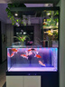 新概念（NEW CONCEPT AQUARIUM）魚(yú)缸客廳沙發(fā)隔斷帶柜子一體辦公室生態(tài)智能懶人養魚(yú)包安裝水族箱 1米免清洗帶智能 曬單實(shí)拍圖