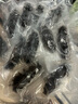江船長即食海參【10只起售】9.9一只6cm-7cm 刺參產(chǎn)地直發(fā)送即食鮑魚 即食海參 曬單實(shí)拍圖