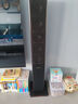 山水（SANSUI）(88B)家庭家用電視環(huán)繞影院10寸11喇叭超重低音炮無(wú)線藍(lán)牙客廳音箱K歌唱歌落地式復(fù)古音響影響旗艦 88B+美聲話筒家庭影院10吋重低音炮套裝 曬單實(shí)拍圖