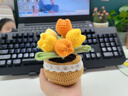 手工編織DIY毛線花束材料包郁金香小雛菊盆栽鉤織自制永生花 材料包黃色郁金香盆栽+工具+教程 曬單實拍圖