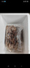 愷蒂鮮魷魚須新鮮燒烤二本足大號批發(fā)整箱冷凍鐵板魷魚串 5斤(凈重)  5包 魷魚須 曬單實拍圖
