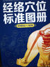 經(jīng)絡(luò )穴位標準圖冊 曬單實(shí)拍圖
