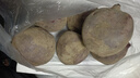 新鮮甜菜根甜菜頭現(xiàn)拔現(xiàn)發(fā)新鮮 甜菜根 5斤大果 曬單實拍圖