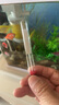 奈寵小型魚(yú)缸加熱棒迷你加溫棒自動(dòng)恒溫器低水位魚(yú)缸龜缸用加熱器25W經(jīng)典黑 固定恒溫26℃款 曬單實(shí)拍圖