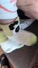 babycare兒童襪子男童棉襪女童地板襪寶寶童襪新生嬰兒襪 奶酪黃3雙 S  曬單實(shí)拍圖