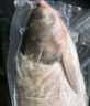 沢素灣千島湖魚(yú)頭鳙魚(yú)頭胖頭魚(yú)花鰱魚(yú)頭剁椒魚(yú)頭1.5-6kg送禮盒 活魚(yú)現殺魚(yú)頭2.5kg 曬單實(shí)拍圖