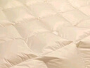 無印良品51%白鴨絨羽絨被 立體加厚冬被 填充1100克 200*230cm4.6斤 香檳 曬單實拍圖