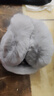 羞小情冬季可折疊耳套可愛(ài)仿兔毛護耳毛絨耳包防凍男女耳捂耳暖保暖耳罩 1個(gè)裝可折疊耳罩【灰色毛絨桿】 曬單實(shí)拍圖