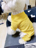 小狗狗衣服寵物秋冬款泰迪比熊小型犬約克夏博美四腳絨衣可牽引 灰小熊 (可牽引) XL背長(cháng)40 建議11-16斤 曬單實(shí)拍圖