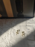 伊燦簡(jiǎn)約綠眼水鉆蛇耳釘女輕奢高級(jí)感耳環(huán)2025年新款爆款時(shí)尚百搭耳飾 簡(jiǎn)約綠眼水鉆蛇耳釘 曬單實(shí)拍圖