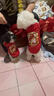 狗狗衣服秋冬裝泰迪比熊博美小型犬寵物貓咪小狗春秋季保暖背心 財神爺 XS 建議1-2斤 具體參考尺碼表 曬單實拍圖