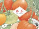 諾貝爾科學(xué)館：番茄 硬殼精裝自然科普繪本 小學(xué)科學(xué)課自然觀(guān)察優(yōu)選繪本 自然科學(xué)觀(guān)察植物的生長(cháng) 心喜閱童書(shū)  生日禮物  六一兒童節禮物 曬單實(shí)拍圖