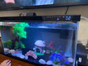小米智能魚缸客廳辦公室桌面米家魚缸造景套裝遠(yuǎn)程喂食超白玻璃生態(tài)缸 豪華造景（適用長35-40cm魚缸）不含魚缸 曬單實(shí)拍圖