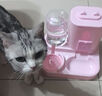 卉亦暮貓碗狗碗自動(dòng)喂食器貓食盆貓咪飯碗糧碗飲水碗一體保護(hù)頸椎寵物碗 【奶油黃】喂食飲水二合一 曬單實(shí)拍圖
