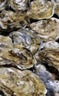 【鮮活】乳山生蠔 特大牡蠣海蠣子 生鮮國慶送禮海鮮水產貝 禮贈大蠔王-凈重9斤（6兩以上/個） 曬單實拍圖