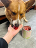 ROYALOPT狗狗零食蔬菜凍干水果狗糧伴侶無(wú)添加孢子甘藍狗狗零食凍干拌糧貓 水果凍干1桶 曬單實(shí)拍圖