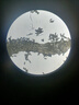 鳳凰（Phenix）生物顯微鏡XSP-06光學(xué)放大1600倍 中小學(xué)生科學(xué)實(shí)驗家用便攜兒童 XSP-06-1600X 套餐一：特配+12.5倍手機支架 曬單實(shí)拍圖