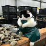 浪莎紅睡衣女夏季2025年新款本命年蕾絲吊帶睡裙晨袍新婚禮送閨蜜新娘 紅色 XL 適合體重120-140斤 曬單實拍圖