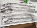 朵芙【海鮮禮盒】整條帶魚(yú) 5斤凈重大號帶魚(yú)刀魚(yú)新鮮整箱渤海帶魚(yú)海鮮 禮盒裝【凈重10斤】巨大5-7條 曬單實(shí)拍圖