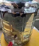 花色堂舒筋活血泡酒藥材96種泡酒料鹿茸正宗長(cháng)白山養生中老年藥酒配方材 8人參+88味共96種[泡30斤酒]壯陽(yáng) 曬單實(shí)拍圖